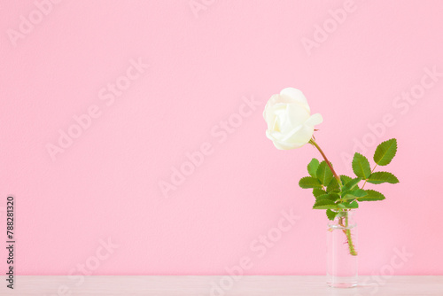 One fresh white rose flower with green leaves in glass vase on table at pink wall background. Pastel color. Empty place for inspirational, sentimental text, lovely quote or sayings. Front view.