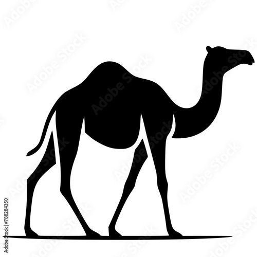 camel in desert
