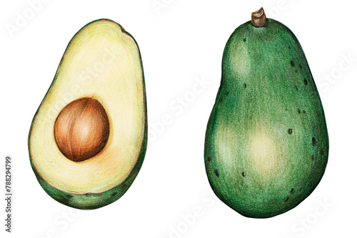 Organic food png avocado drawing illustration photo