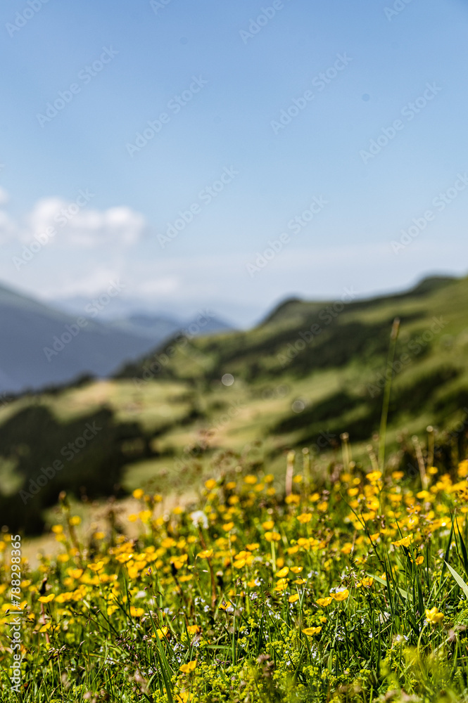 Alpnelandschaft im Sommer in den Schweizer Alpen, Graubünden
