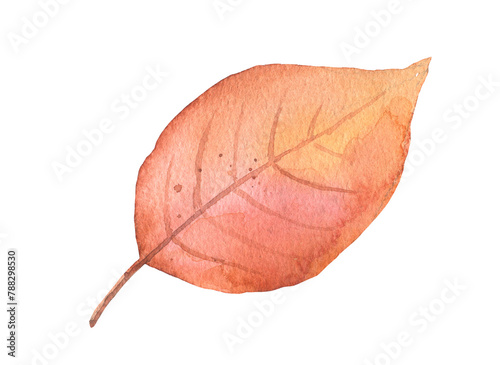 Watercolor red fall birch tree leaf isolated. Hand drawn autumn illustration