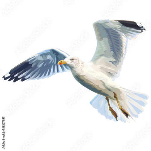 A realistic painting of a seagull in flight with its wings spread wide.