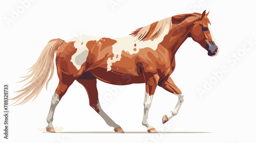 Tennessee Walking Horse flat vector illustration. Ame