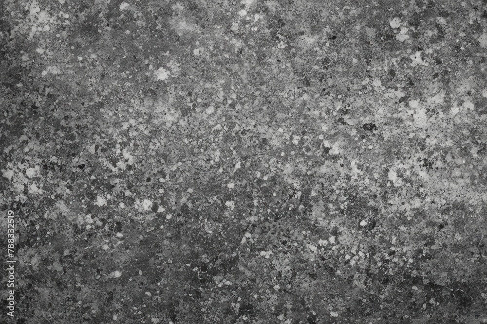 Textured Grayscale Image of Peeling Photo Paper
