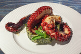 Balkan cuisine. Plate with grilled octopus on rustic table