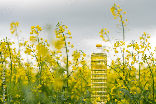 A bottle of rapeseed oil against the background of a yellow blooming rapeseed field. A bottle of rapeseed oil and blooming rapeseed fields.