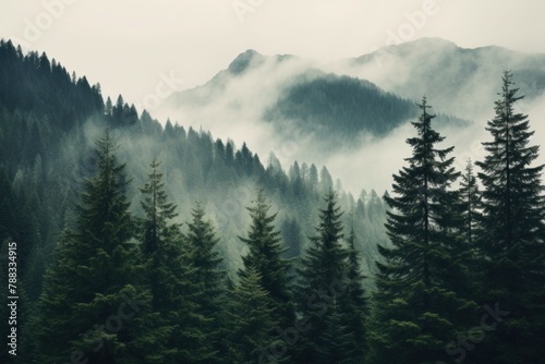 Spiky Mountain pine tree. Scene view. Generate Ai © juliars