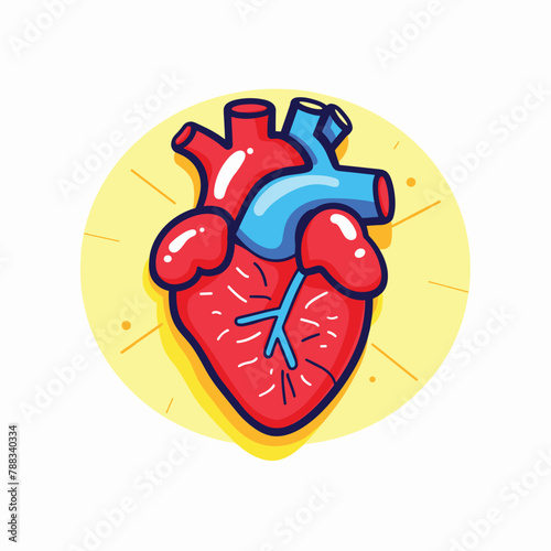 Human heart organ anatomical drawing flat vector illustration
