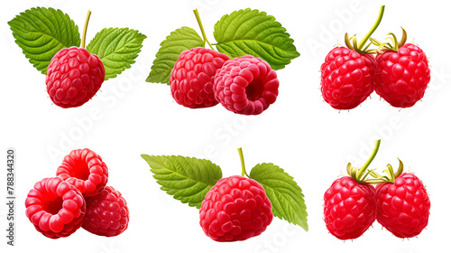 Vector set of realistic close up raspberries with green leaves isolated on white background