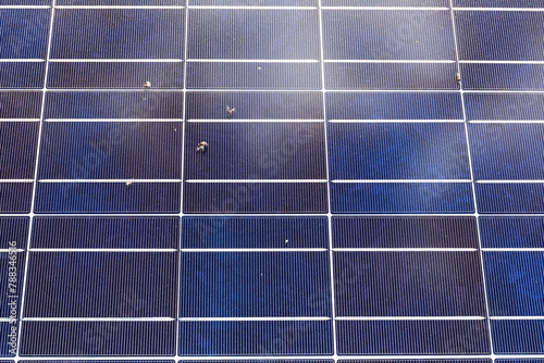 Close view of a solar panel with pollen and dirt