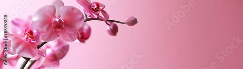 Craft a bright  minimal orchid display for a Mother s Day card  using a 3D Blender minimalist style  isolated background  with text space
