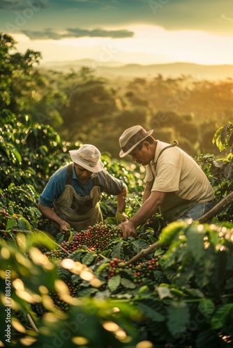 Coffee Farmers Handpicking Ripe Coffee Cherries in The Early Morning Light, Showcasing The Meticulous Care and Dedication Involved in Harvesting, Generative AI