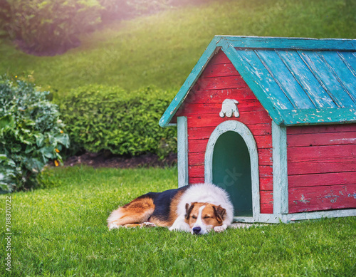 dog sleeping outside of his painted doghouse on a backyard lawn AI