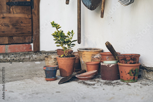 Lots of clay pots, trowel and gardening tools. Gardening and plant care in spring and summer. Series of photographs.
