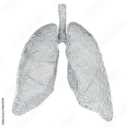 Human lungs wrapped in foil, 3D rendering isolated on transparent background