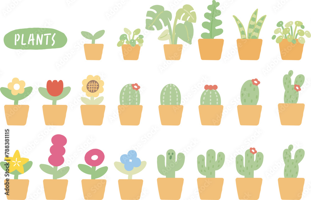 plant, cactus, flower plant, cactus, flower