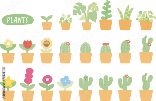 plant, cactus, flower