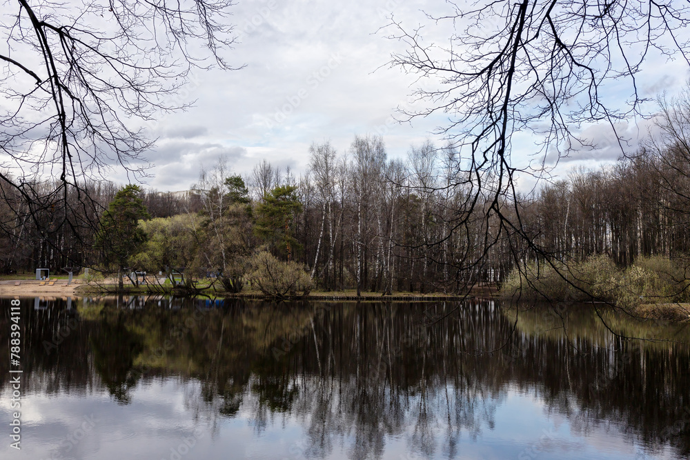 reflection of trees in the water