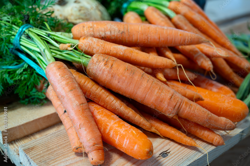 Bunch on fresh orange carrots with green on wooden box Bunch on fresh orange carrots with green on wooden box