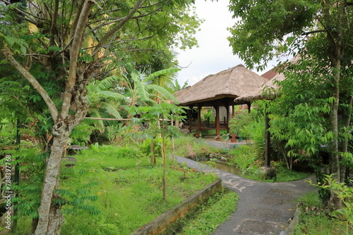 traditional green garden Bali, Indonesia