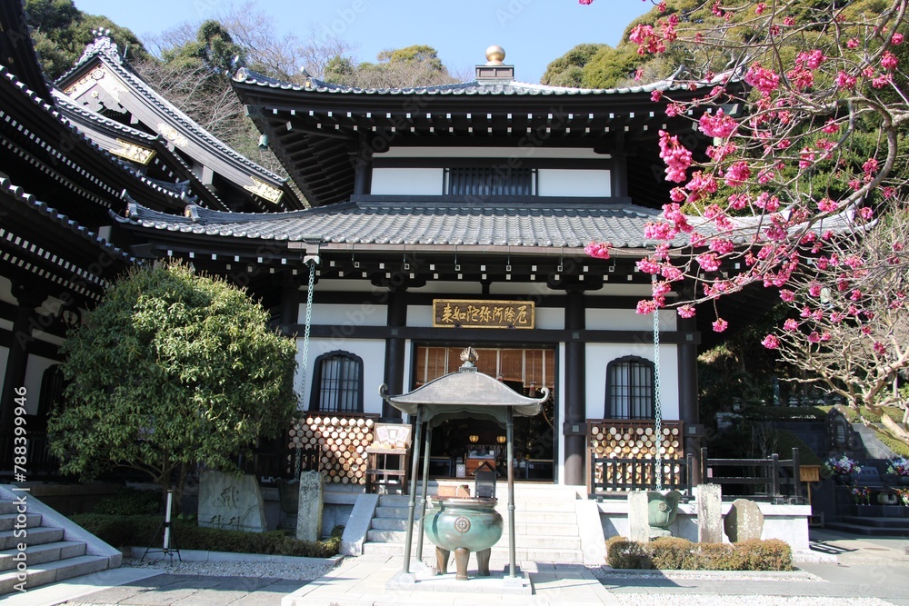 Obraz premium Buddhist Hase-kannon temple upper main square with main temple in Kamakura, Japan in March