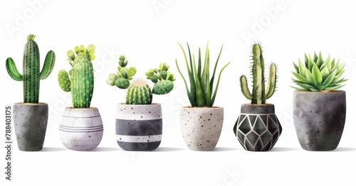 KSSet of watercolor potted plants and cacti in boho 