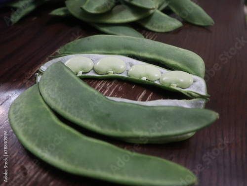 Lima bean,Phaseolus lunatus,green plats design for abundance concept photo