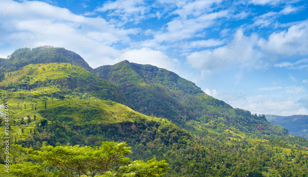 Mountains, tropical vegetation and bright sky. Sri Lanka.