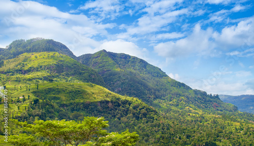 Mountains, tropical vegetation and bright sky. Sri Lanka. © alinamd