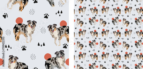 Australian Shepherd dog pattern. Square background with pets, repeatable wallpaper, tiles in two scales. Seamless pattern with aussie. Traditional color smiling shepherd dogs, holiday gift. Hand-drawn