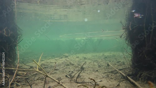 Über- und Unterwasservideo von Pflanzen und Seerosen im Weissensee im Allgäu  photo