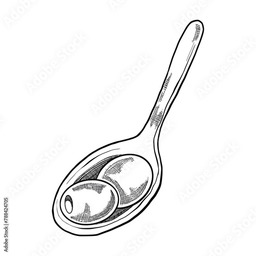 Spoon with two olives. black outline of olives drawn by hand. Olives with shading