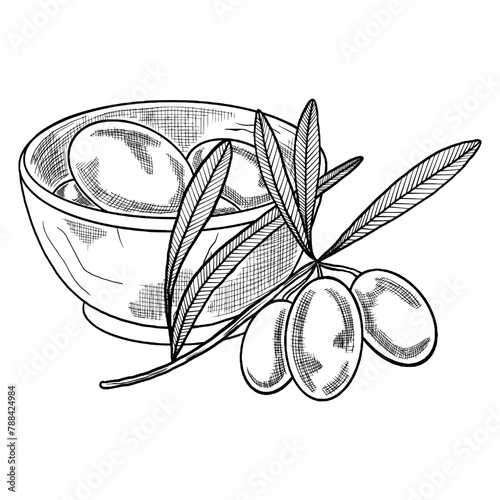 Vector outline plate with olives. Hand drawn olive branch. Composition of a plate and an olive branch made in ink