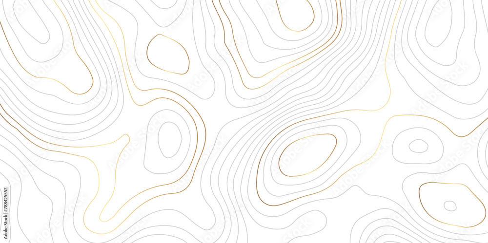 Abstract wavy luxury gold lines topographic map. Abstract wavy and curved lines background. Abstract geometric topographic contour map background. Vector illustration.