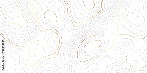 Abstract wavy luxury gold lines topographic map. Abstract wavy and curved lines background. Abstract geometric topographic contour map background. Vector illustration.