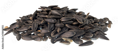 Looking from the side at a pile of black oil sunflower seeds that can be used as wild bird feed. On a clean background. 