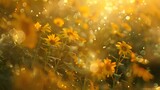 Sunflowers under the sunshine