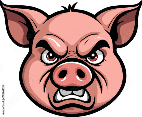 snout of an angry pig