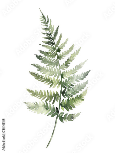 Ai Generated Art Watercolor Abstract Fern Leave against White Background in Pastel Sage Green Colors.