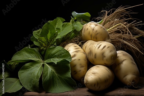 Firm Ripe potatoes contrast. Organic crop. Generate Ai