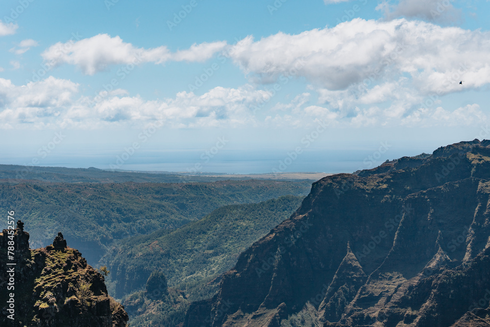 Fototapeta premium Hawaii canyon views