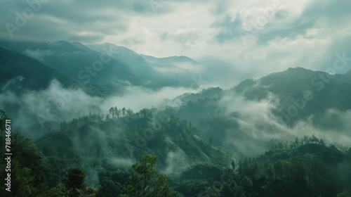 Tropical foggy forest birds eye view valley mountain range clouds and sky © Nick