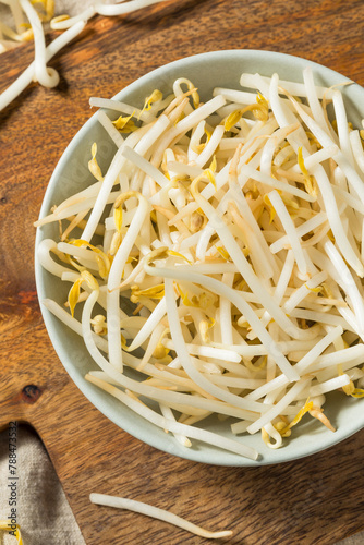 Organic Raw White Mung Bean Sprouts