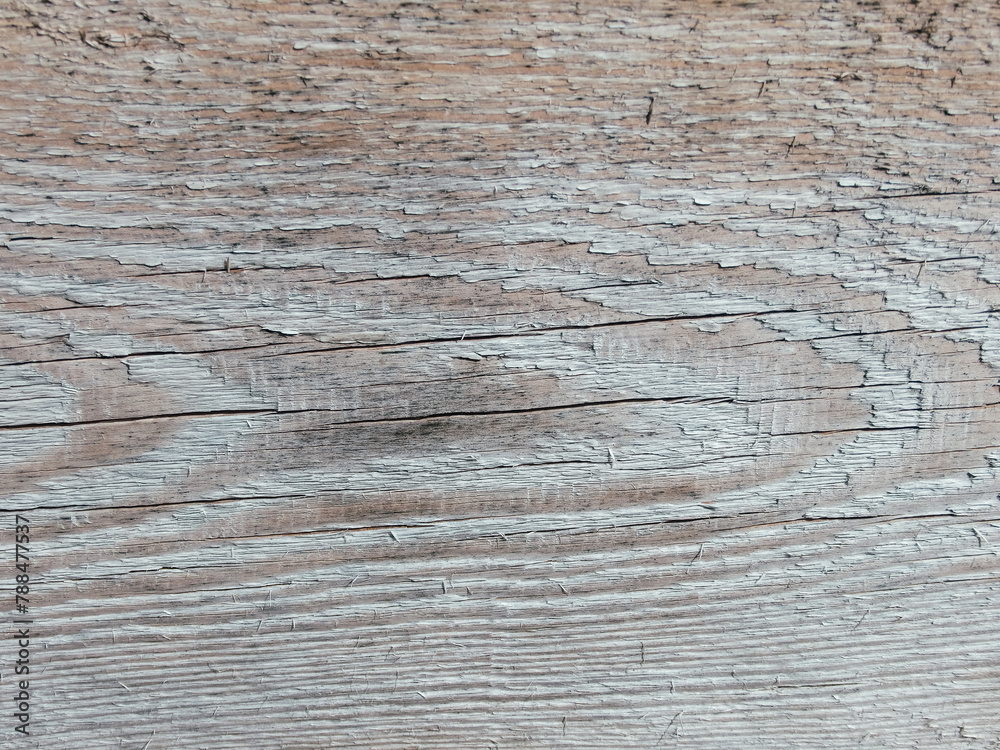 Naklejka premium Texture of an old weathered cracked wooden board. Natural Background.
