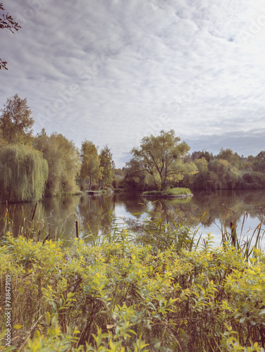 autumn trees on the river