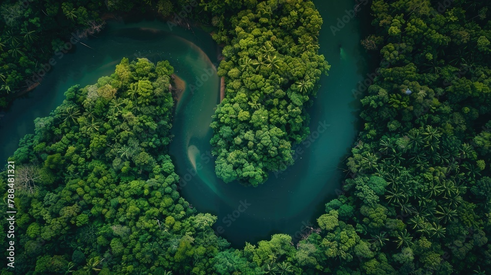 A high-altitude drone shot of a winding river through a lush forest - obrazy, fototapety, plakaty 
