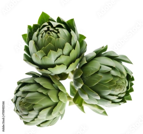 Three green artichokes with overlapping leaves against a white background