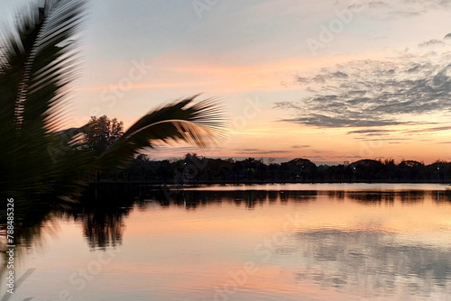 Waterlogged Thailand rice paddy & farming fields sunset, reflecting golden hues on the waterlogged rice fields. with trees and branches