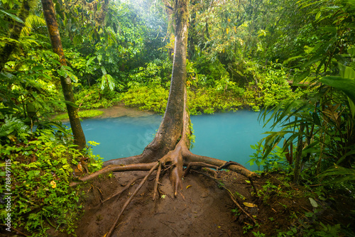 Blue river flowing through the rainforest, jungle on the banks of Rio Celeste in Costa Rica, Landscape