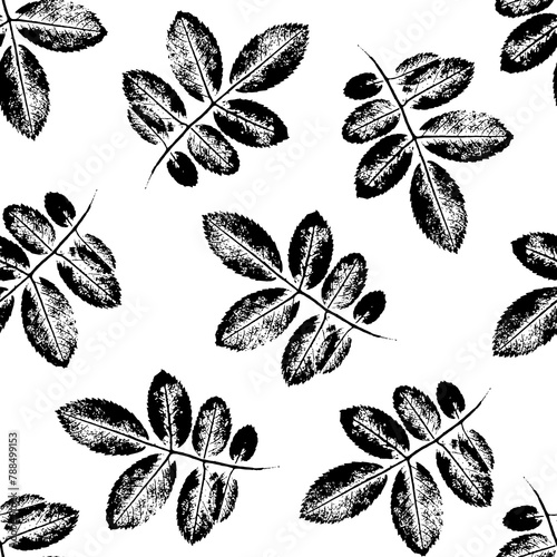 Seamless pattern with inky silhouettes of rosehip leaves on a white background. For fabric, textiles, wrapping, cover, packaging.